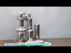 10 inch sanitaire SS304/316L cartridge roestvrijstalen filter behuizing.